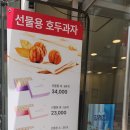 코코호도양주 네이버블로그