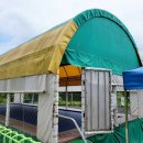 신우정유치원 이미지