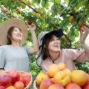 정읍산림조합임산물유통센터