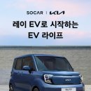 레이 매일경제