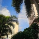 아름슈퍼 | [괌여행 2/3일차] PIC 해적디너쇼 돌핀투어 PIC 훗카이도 서커스 비스트로