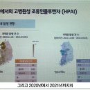 영상농장 이미지