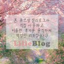 연수비상-6호 | [송도맛집] 송도 그릭요거트 중 가장 입맛저격! 그릭요거트맛집 그래요 수제그래놀라 후기