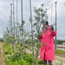 마음드리 이미지