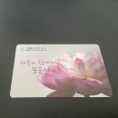 삼성역 코엑스 근처 봉은사의 가성비 건강식 공양간 탐방