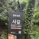 [제주가볼만한곳] 성산 근처 실내 여행지 &#39;빛의 벙커&#39; 방문 후기! (feat. 제주커피박물관)