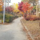 영마루공원 농구장 이미지