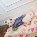 동홍동-6 이미지