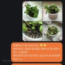 동글동글 새싹 음악 도서관 | 그건 특별하고 멋진 사건의 시작일까? (0202-0203)