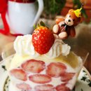 엔젤 식물원 | 아산 실브커피, 숲속 온실에서 만난 딸기벽돌케이크