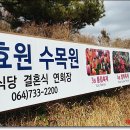 수목원목장 이미지