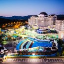 FILL모터스 네이버블로그