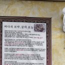 진미원 | 대구 달서구 굴국밥 맛집 ‘진미원조생굴뚝배기’ 내돈내산 후기