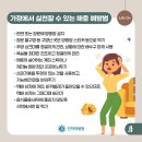 여름철 해충 퇴치 방법 이미지