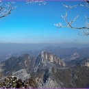 지에스25 부평갈산 이미지