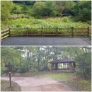 평화3리 이미지