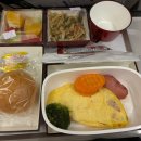 578 | 아시아나항공 OZ578 탑승후기 | 알마티(카자흐스탄)-인천