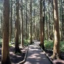 선흘 언니네 이미지