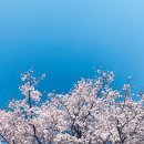 스마트폰 사진 / 동영상 편집 이미지