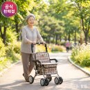 정성메디칼 | 부모님 안심 보행을 위한 진산메디칼 실버카 할머니유모차 F218 찐후기