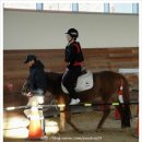 실내승마장(관람석) 이미지