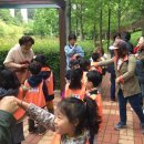 운봉초교 병설유치원 이미지