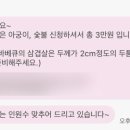 강릉초이 이미지