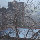 매계초등학교 이미지