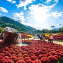 용대관광지 이미지