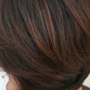 노벨리아 헤어 이미지