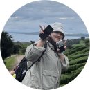 뉴질랜드 한국전 참 | 25년 10월 뉴질랜드 여행 / 1-2 일차 여행일기 : 인천 ➡️ 홍콩 ➡️ 오클랜드 🇰🇷🇭🇰🇳🇿