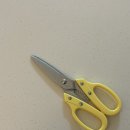 힐링굿샵 | 강주은 가위로 유명한 절삭력 끝판왕, 방산시장 가위 사용 후기