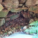 운학동 돌방무덤 이미지