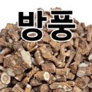 영생한약방 - 구미시 문장로 202 | 영생한약방