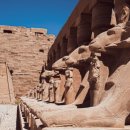 묘한 세계 이미지