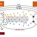 프로스타짐 이미지
