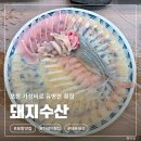 돼지수산 - 옹진군 영흥로 109-4 | [돼지수산] 포항 가성비 횟집 맛집, 내돈내산 솔직후기