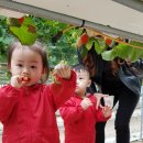 찬이농장 이미지