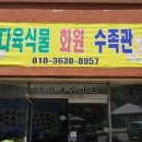 다육화원식물수족관