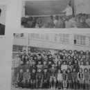 동창초등학교 이미지