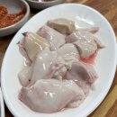 죽도해삼 이미지