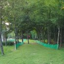 지사울공원 | 지사울공원 이서파크골프장 예약·휴장 확인법｜완주 이서면 9홀 코스