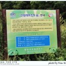 하늘풍차 이미지