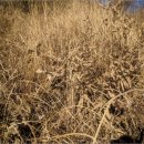 합성동102 이미지