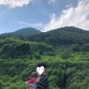 오번풀빌라 이미지