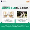 원주보훈요양원 이미지