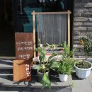 사란방 네이버블로그