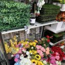 다이소포항우현점 이미지