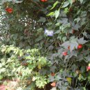 대천농장 이미지