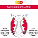 표시 별자리 MARKING CONSTELLATION 이미지